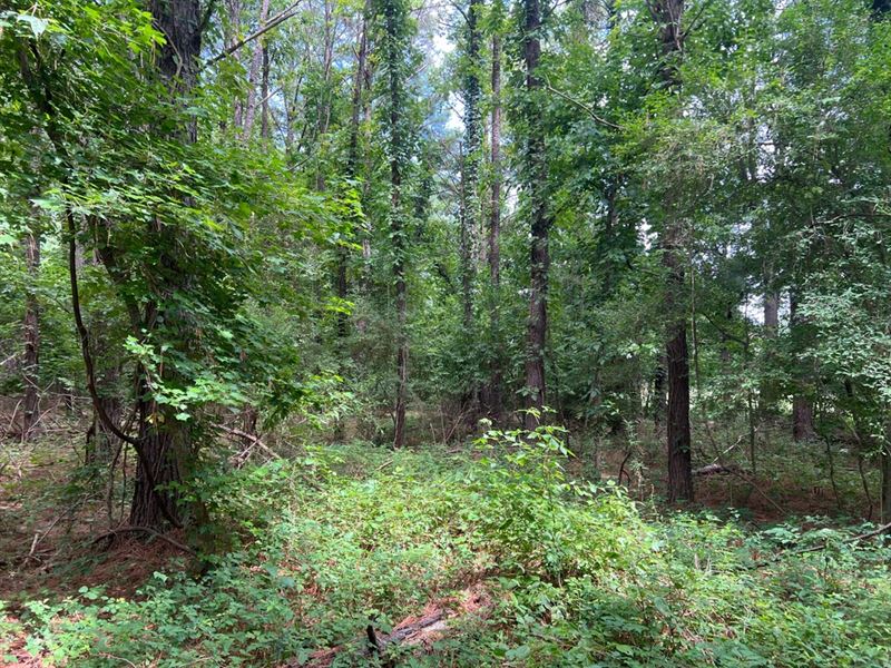 La, Concordia 2.32 Acres : Monterey : Concordia Parish : Louisiana