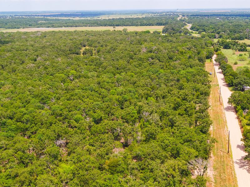 6 Acres in Milam County, Tract 5 : Buckholts : Milam County : Texas