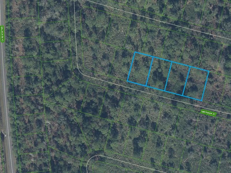 4 Adjacent Individually Deeded Lots : Sebring : Highlands County : Florida