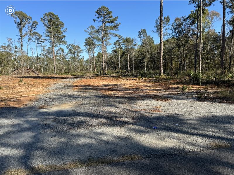 Spacious Lot Nearing 10 Acres : Macon : Monroe County : Georgia