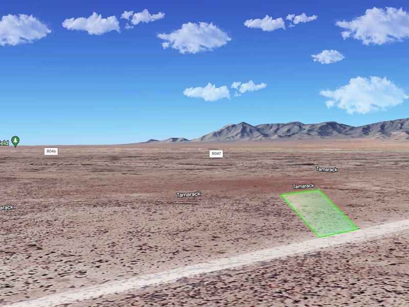 .5 Ac Luna County, NM Just $49 Down : Deming : Luna County : New Mexico