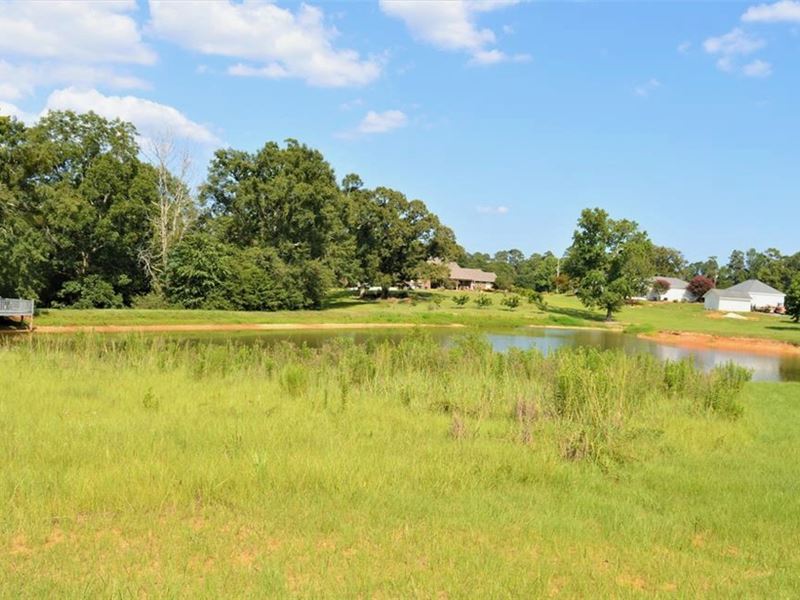 Small Acreage for Sale Near Golf Co : McComb : Pike County : Mississippi