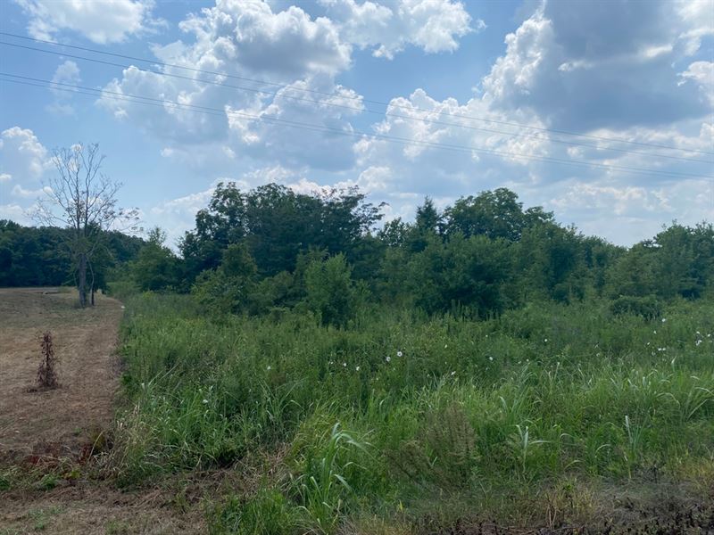 La, Franklin 4.170 Acres : Winnsboro : Franklin Parish : Louisiana