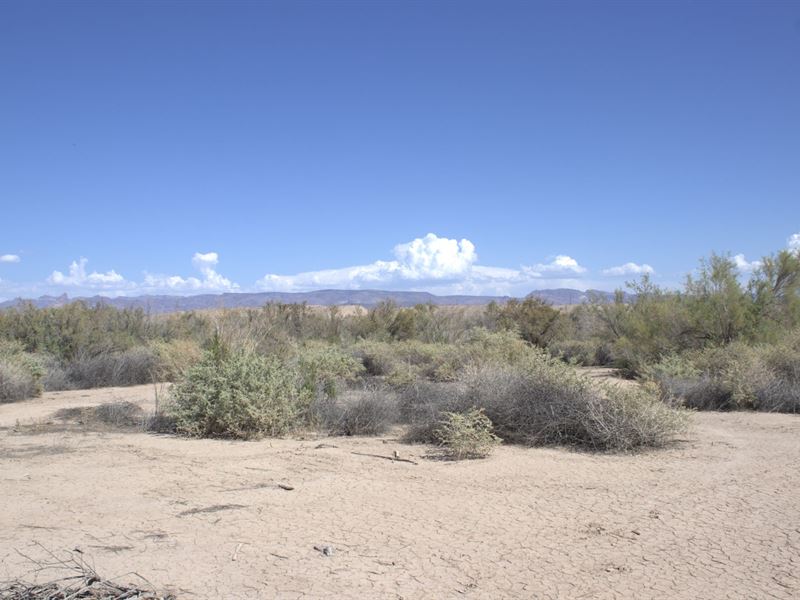 Rural Serenity in Mohave Valley : Mohave Valley : Mohave County : Arizona