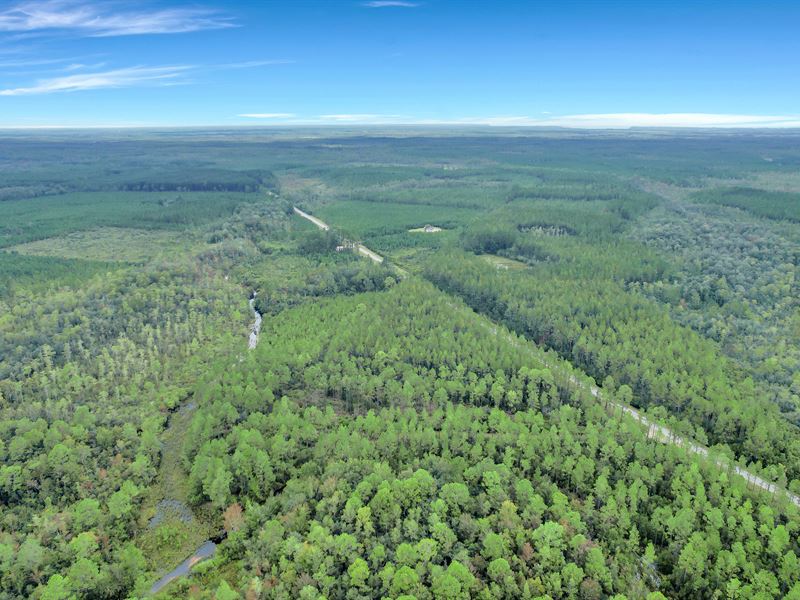 Tract 1, 5 Acres, Suwannee Chapel : Manor : Ware County : Georgia