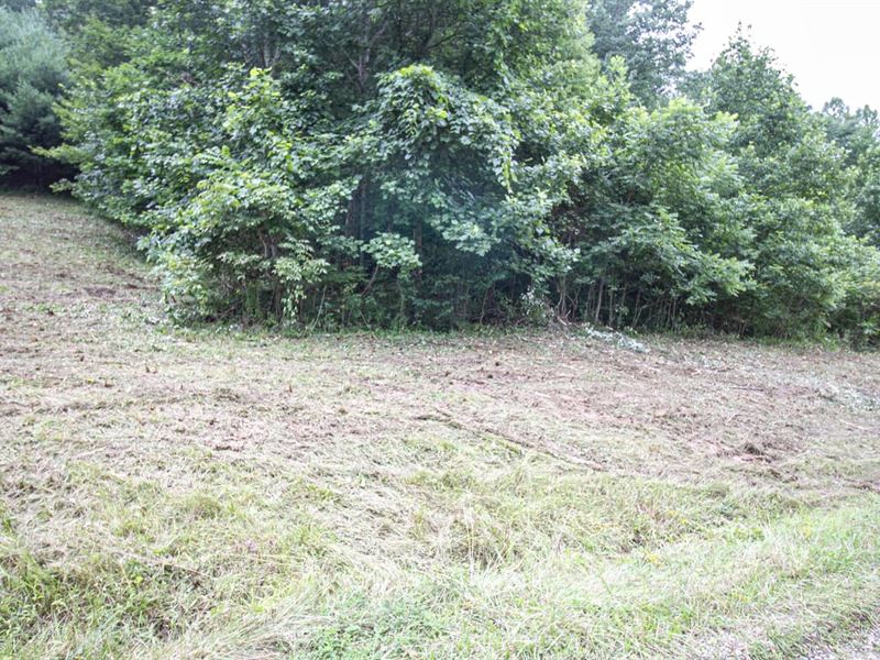 Meadowood Trail, Lot 4, 1 Ac, Ha : Cadiz : Harrison County : Ohio