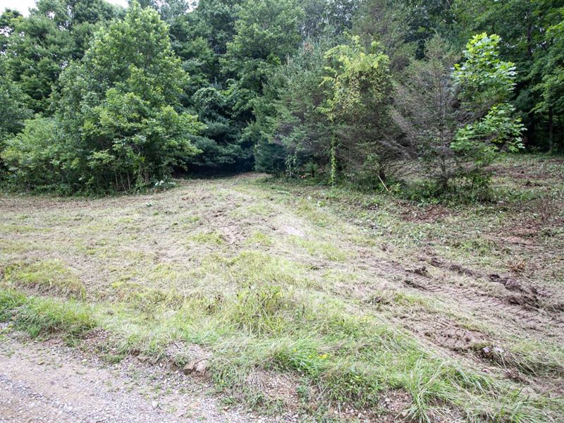 Meadowood Trail, Lot 1, 1 Ac, Ha : Cadiz : Harrison County : Ohio