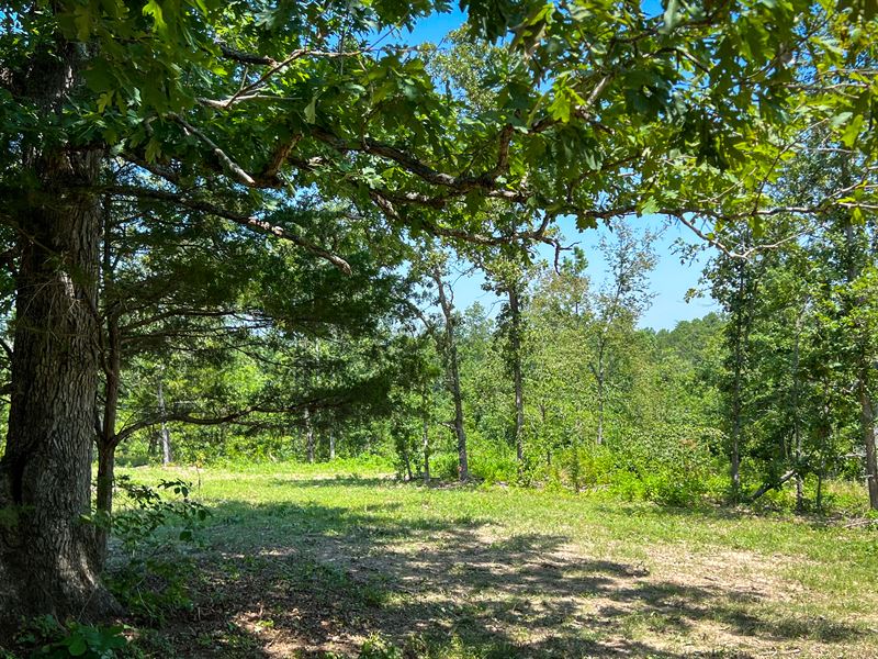 Owner Financed, Top of The Ridge : Bucyrus : Texas County : Missouri