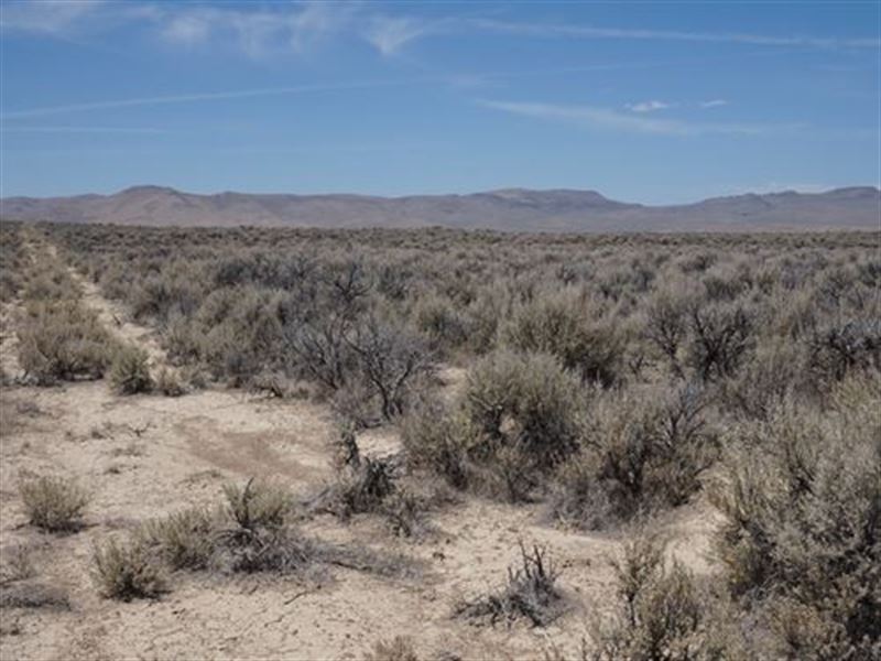 Perfect 2 Acre Homestead, RV's Okay : Ryndon : Elko County : Nevada