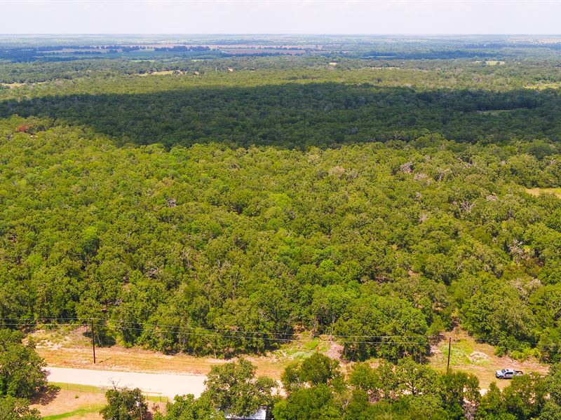 6 Acres in Milam County, Tract 4 : Buckholts : Milam County : Texas