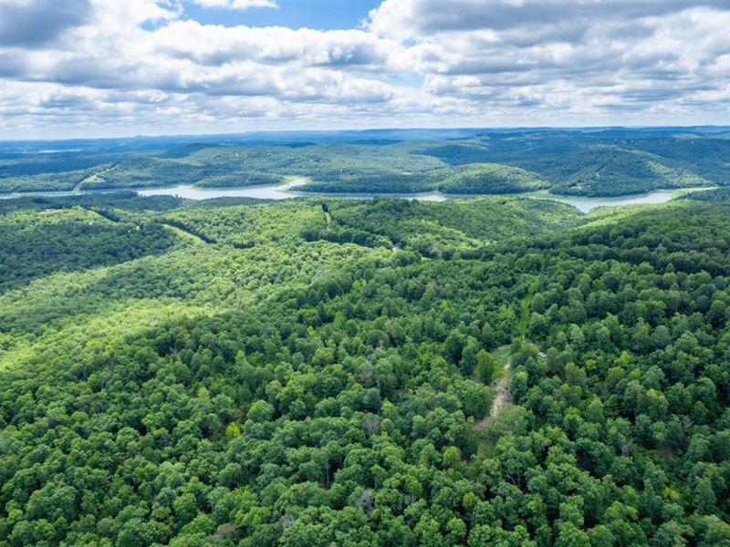 Bull Shoals 6 : Bull Shoals : Marion County : Arkansas