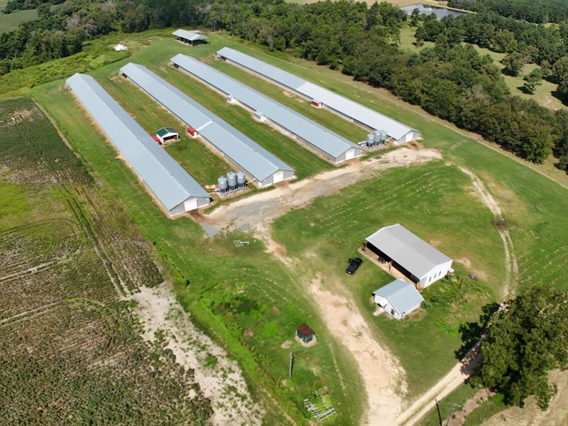 10 Ac Poultry Farm, Pitts, GA : Pitts : Wilcox County : Georgia