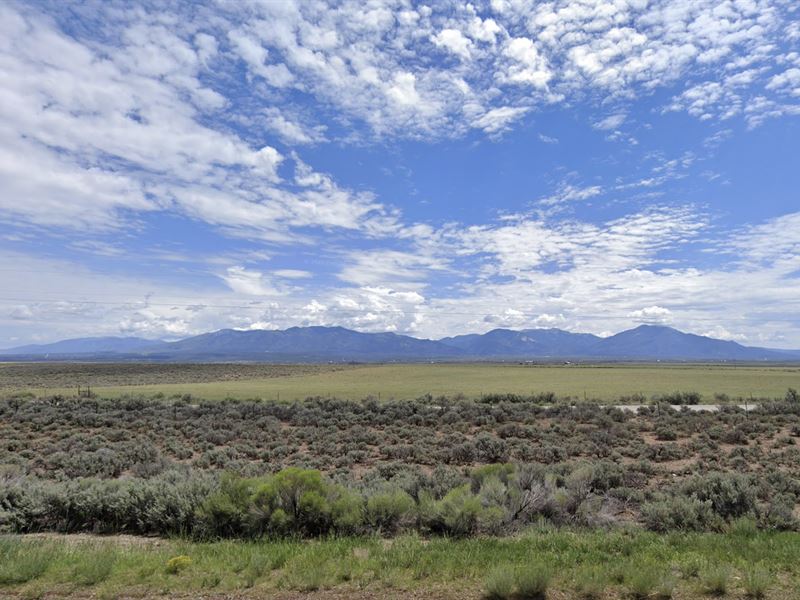 Exclusive 0.25 Acre in Tres Piedras : Carson : Taos County : New Mexico