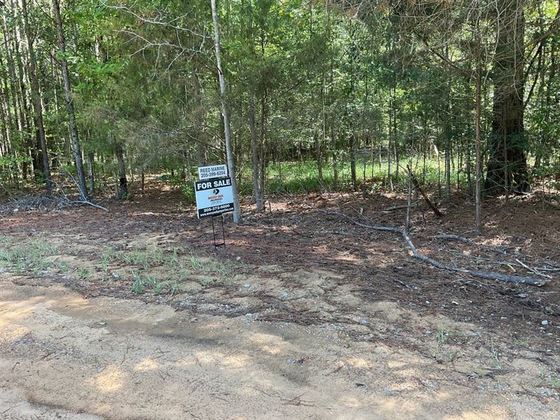 Lot 39 Lake Gainesville Estates : Warsaw : Sumter County : Alabama