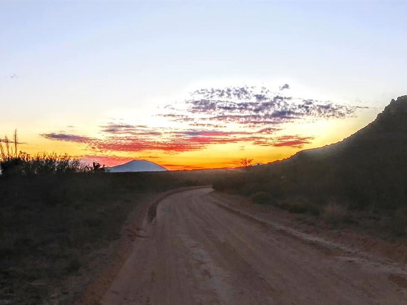 Own Now, 20 Ac $289/Mo, No Zoning : Sierra Blanca : Hudspeth County : Texas