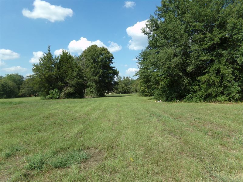 10 Acres Development Land Paris, TX : Paris : Lamar County : Texas