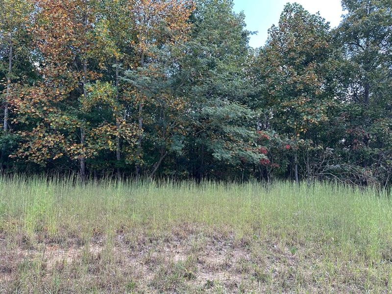 5.2 Acres Wooded Property High : South Pittsburg : Marion County : Tennessee