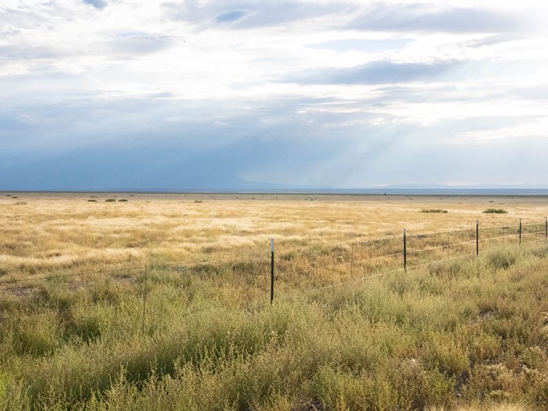 .25 Ac, Budget Investor's Dream : Las Maravillas : Valencia County : New Mexico