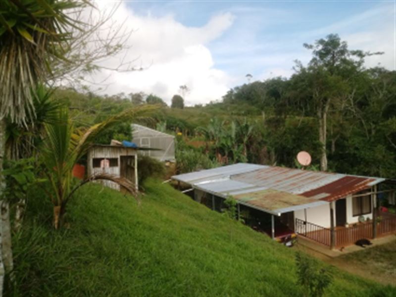 4 Ac Self-Sufficient Farm, House : La Suiza Tuis Greivin Apu : Costa Rica