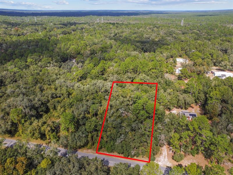 SW 155th St, Dunnellon, FL 34432 : Dunnellon : Marion County : Florida