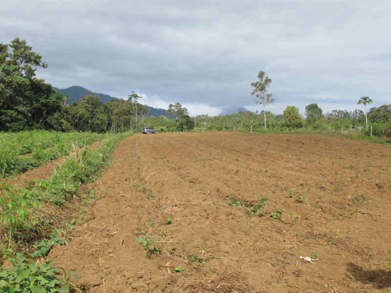 Beautiful Completely Flat Property : San Carlos Chachagua : Costa Rica