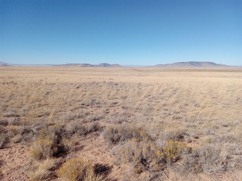 Your Ideal 5.18 Acre Oasis Awaits : San Luis : Costilla County : Colorado