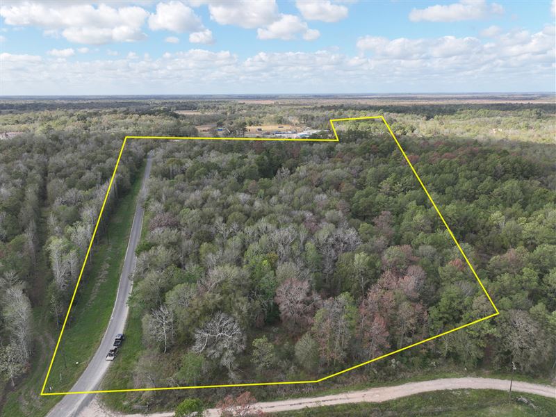 7.8 Acres, County Road 2018 : Daisetta : Liberty County : Texas