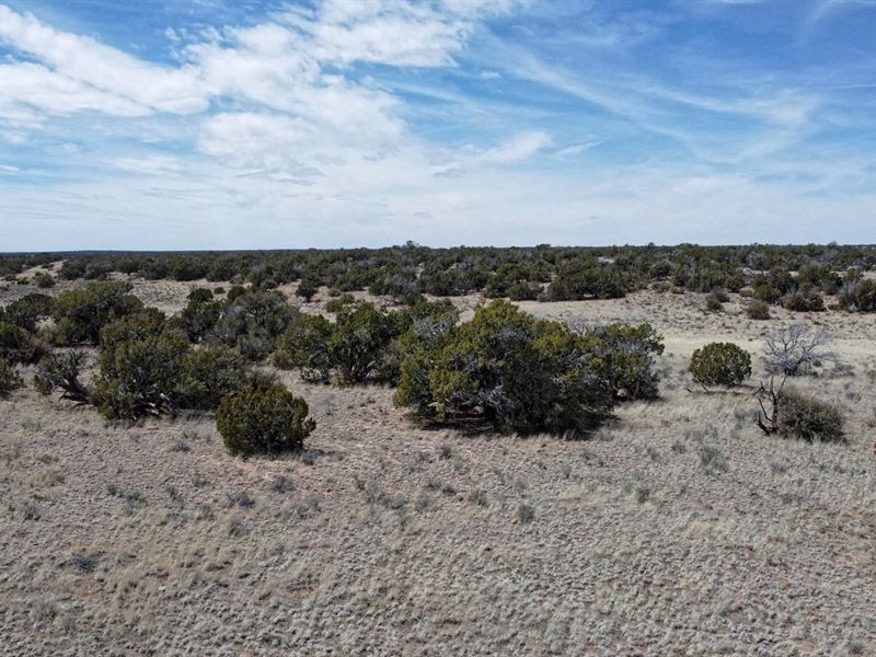 2.08 Acres Adjacent Wide Lots : Sanders : Apache County : Arizona