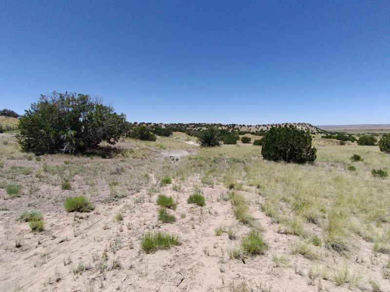 Priced Lots : Sanders : Apache County : Arizona