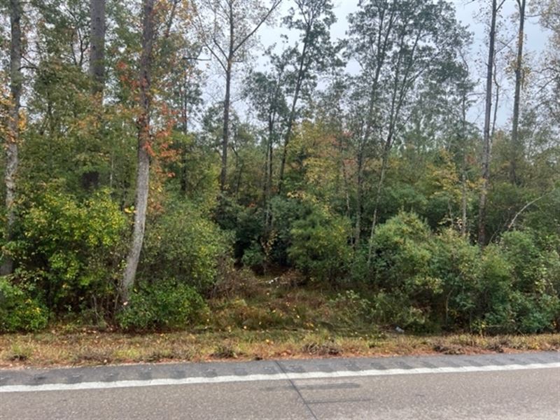 19.4 Acres / Patonia Road in City : Lumberton : Lamar County : Mississippi