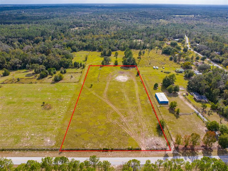 5.3 Cleared Acres in Brooksville : Brooksville : Hernando County : Florida