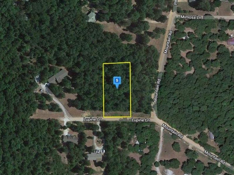 Beautiful Wooded Lot, Stunning : Harrison : Boone County : Arkansas