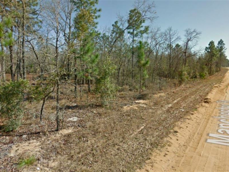 2 Lots Side by Side in Interlachen : Interlachen : Putnam County : Florida