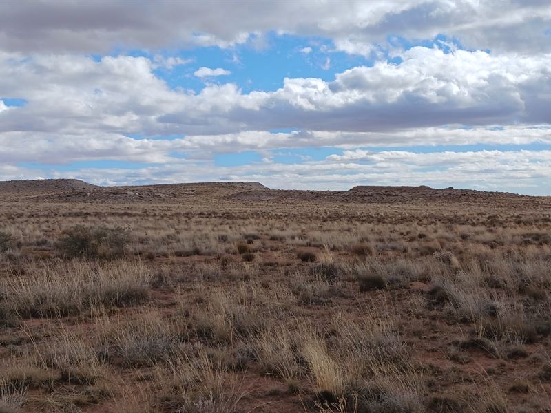 1.16-2.32 Acres Starting $99/Month, Lot for Sale by Owner in Arizona ...