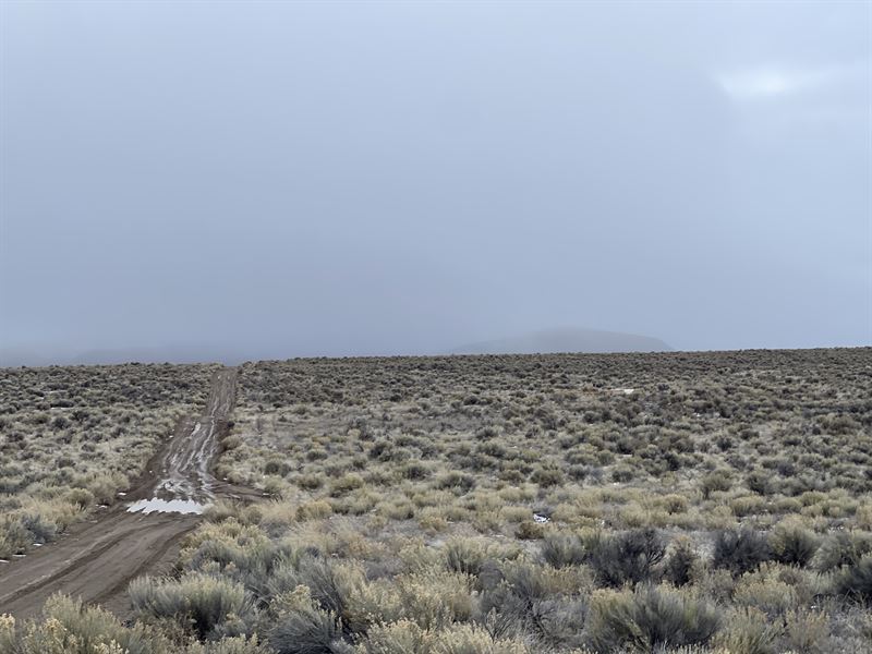 2.27 Acres in Ryndon, Nevada : Ryndon : Elko County : Nevada