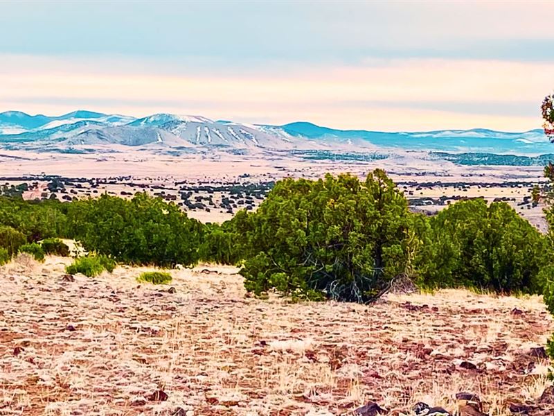 Seasonal RV Okay : Concho : Apache County : Arizona