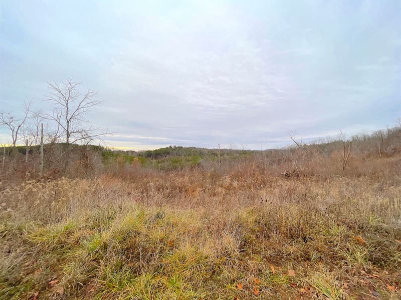 Swango Rd, 4 Acres, Gallia County : Bidwell : Gallia County : Ohio