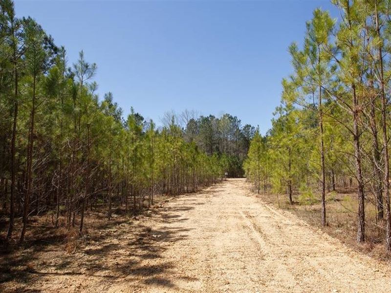 5.01 Acres in Tishomingo County, MS : Tishomingo : Tishomingo County : Mississippi