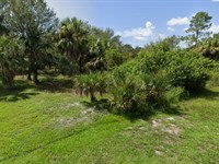 Land with Access on Electricity : Punta Gorda : Charlotte County : Florida