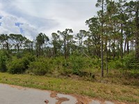 13563 Lynbrook Ave on a Paved Road : Port Charlotte : Charlotte County : Florida