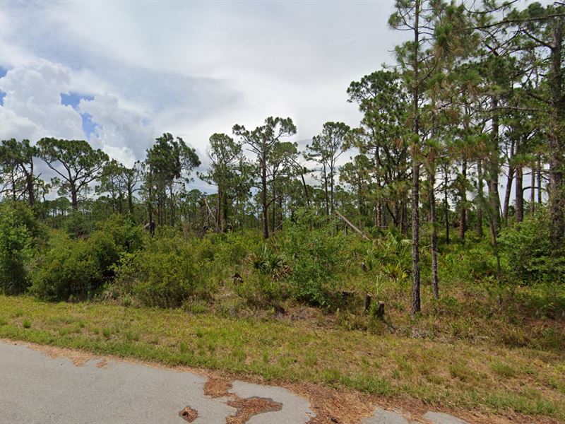 13563 Lynbrook Ave on a Paved Road : Port Charlotte : Charlotte County : Florida