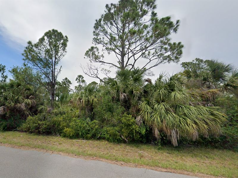 14212 Carney Ave on a Paved Road : Port Charlotte : Charlotte County : Florida