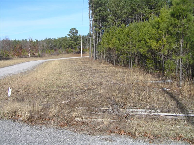 Owner Financed Mountain Lot : Spencer : Van Buren County : Tennessee