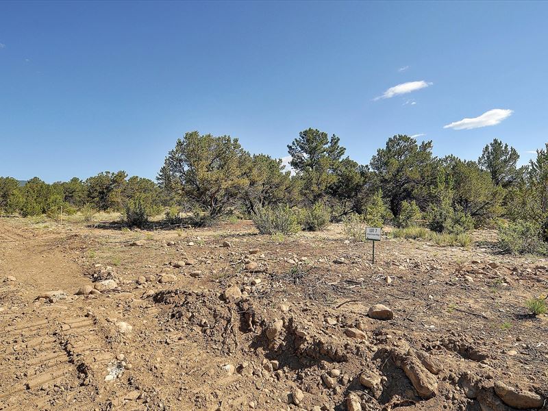 New Luxury Subdivision : Buena Vista : Chaffee County : Colorado