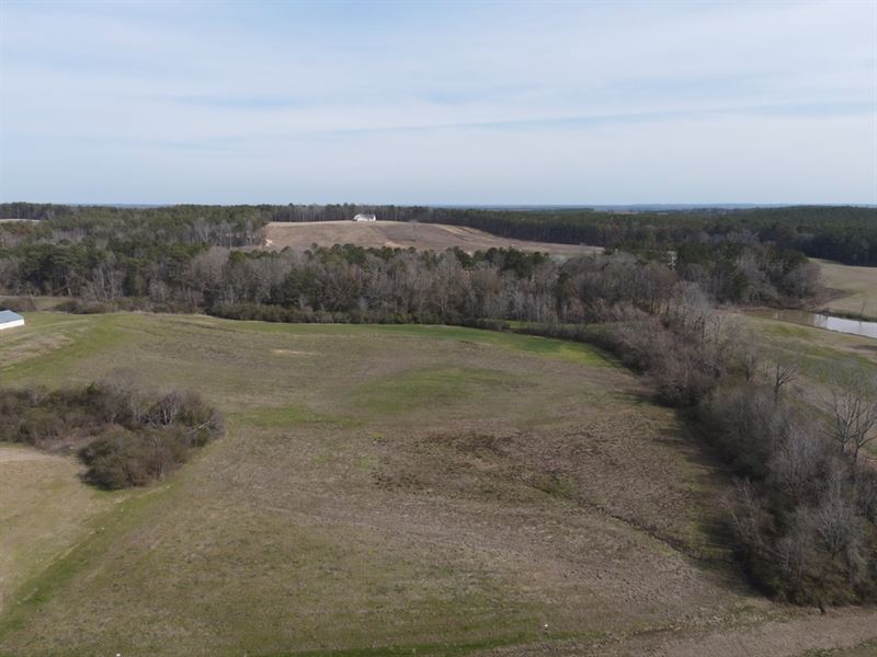 20 Acre Mini Farm in Rankin County : Brandon : Rankin County : Mississippi