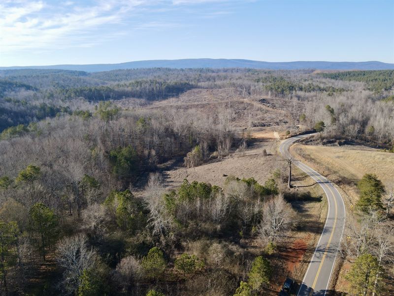 8 Acres Hwy 49 Lineville : Lineville : Clay County : Alabama