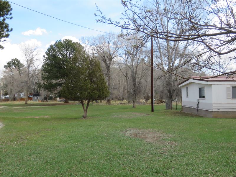 Pristine In-Town Lot : Buena Vista : Chaffee County : Colorado