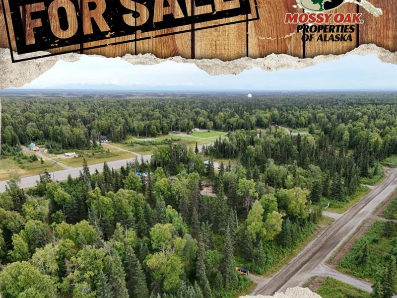 Owner Finance, 1.73 Ac Lot with Air : Kenai : Kenai Peninsula Borough : Alaska