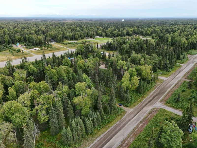 1.73 Ac Lot with Airstrip Access : Kenai : Kenai Peninsula Borough : Alaska