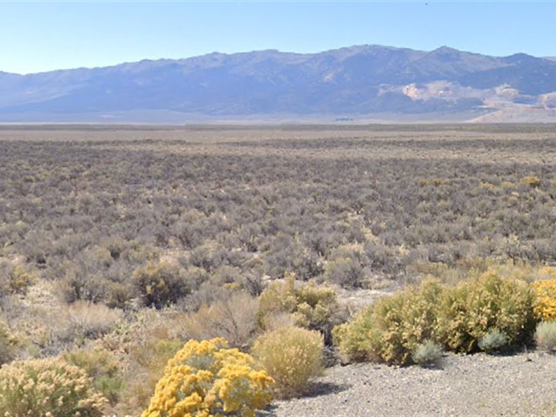 2+ Acre on Yucca Dr in Elko County : Montello : Elko County : Nevada